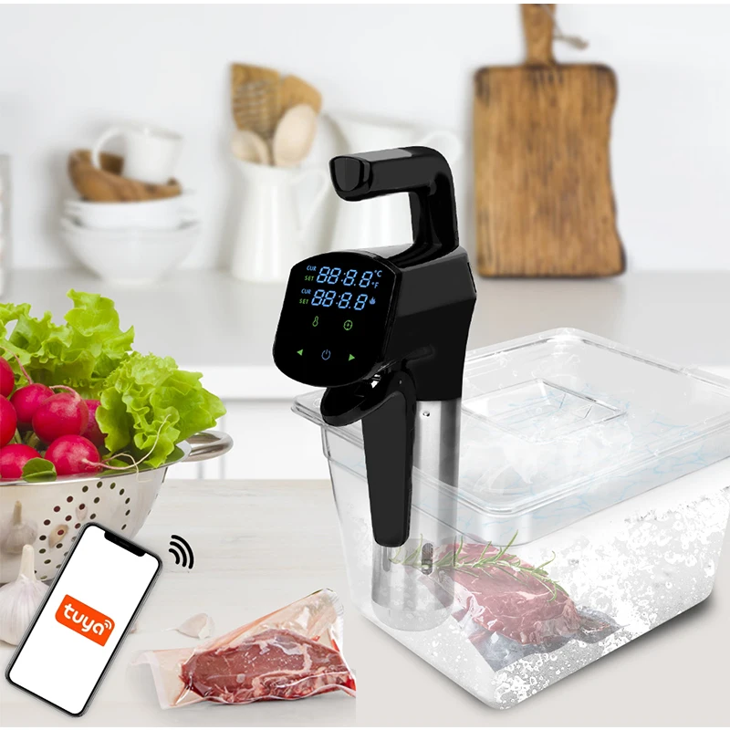 ماكينة Sous Vide التجارية 110  - مراجعة Home Cooking Steak وسعره